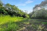  Papaya Farms Rd - Photo 15