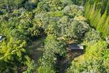  Papaya Farms Rd - Photo 17