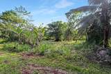  Papaya Farms Rd - Photo 18