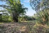  Papaya Farms Rd - Photo 19