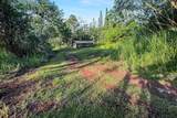  Papaya Farms Rd - Photo 23