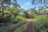  Papaya Farms Rd - Photo 24
