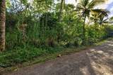  Papaya Farms Rd - Photo 25
