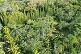 Papaya Farms Rd - Photo 28