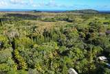  Papaya Farms Rd - Photo 29