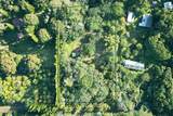  Papaya Farms Rd - Photo 4