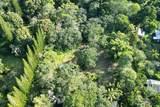  Papaya Farms Rd - Photo 6