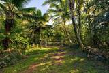  Papaya Farms Rd - Photo 7