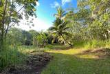  Papaya Farms Rd - Photo 9