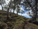 44-2135 Pohakealani Rd - Photo 10