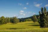  Kuhio Hwy - Photo 13