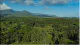  Kuhio Hwy - Photo 15