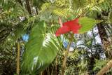 18-2054 Hapuu Nani Rd - Photo 26