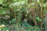 18-2054 Hapuu Nani Rd - Photo 28