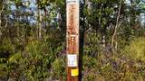  Sugarcane Ln - Photo 23