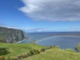 48-5528 Waipio Valley Rd - Photo 2