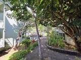75-5776 Kuakini Highway - Photo 15