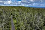 12-4235 Upper Puna Road - Photo 4