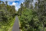 12-4235 Upper Puna Road - Photo 6