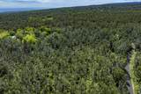 12-4235 Upper Puna Road - Photo 8