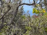 92-8689 Lehua Ln - Photo 14