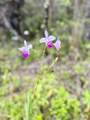 17-450 Kuauli Rd - Photo 7