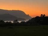 4901 Hanalei Plant Rd - Photo 7