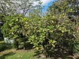 14-3509 Pahoa Circle - Photo 25
