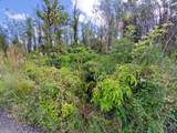  Omeka Rd - Photo 29