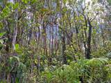  Omeka Rd - Photo 30