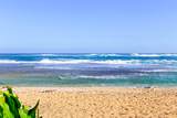 5-7538 Kuhio Hwy - Photo 18