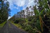  Kilihune Rd - Photo 7