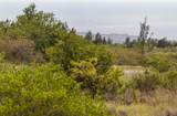  Kahili Blvd - Photo 3