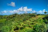  Halaulani Pl - Photo 11