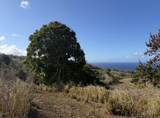 47-4536 Honokaa  Waipio Rd - Photo 5