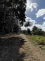 47-4536 Honokaa  Waipio Rd - Photo 7