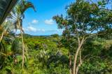 4005 Pai St - Photo 1