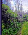 Aulii St - Photo 5