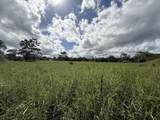 880 Ainalako Rd - Photo 24