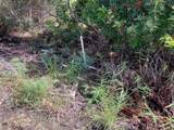  Kaulua Circle - Photo 5