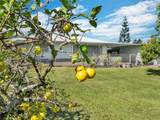 347 Nohea St - Photo 21