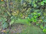 347 Nohea St - Photo 22