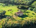 6001 Kahiliholo Rd - Photo 28