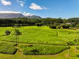 6001 Kahiliholo Rd - Photo 29