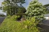 15-710 Kahakai Blvd - Photo 17
