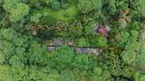 17-856-A Olaa Rd - Photo 5