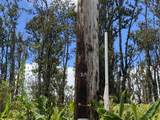  Makoa Rd - Photo 7