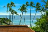 2253 Poipu Rd - Photo 1