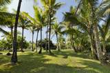 13-125 Nalu Pl - Photo 28