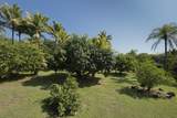 13-125 Nalu Pl - Photo 29
